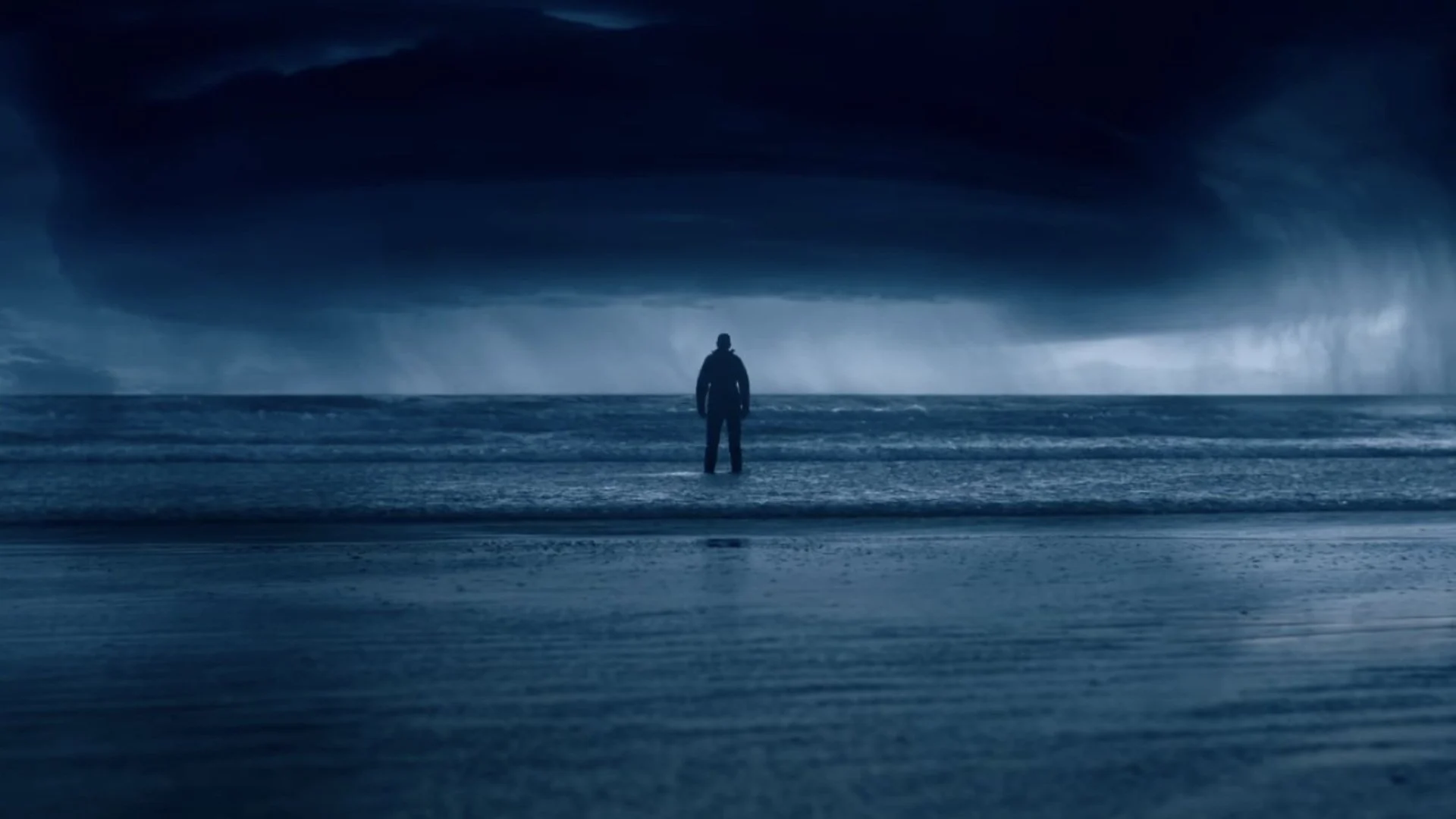 Hải Quỳ Nở Hoa Full